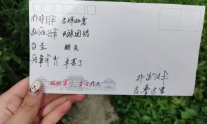 同心共筑团结梦，携手并进富路行